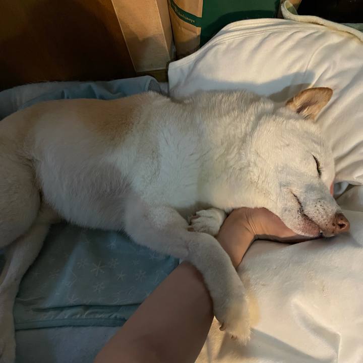 26598a39 fba0 4770 a21d 141b2572aa8d 1633918620462