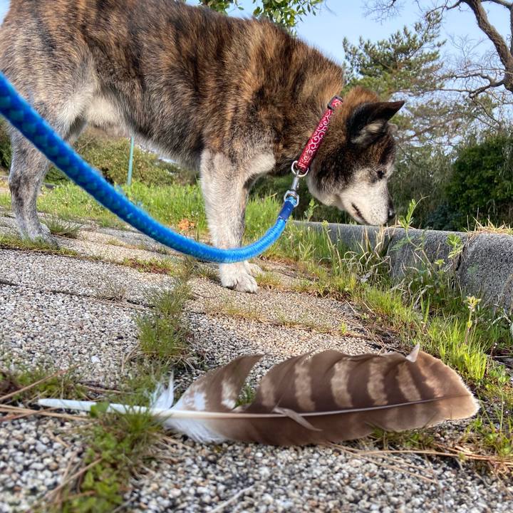 2659ac01 e8af 412f bde6 2903e65a0e64 1712787526431