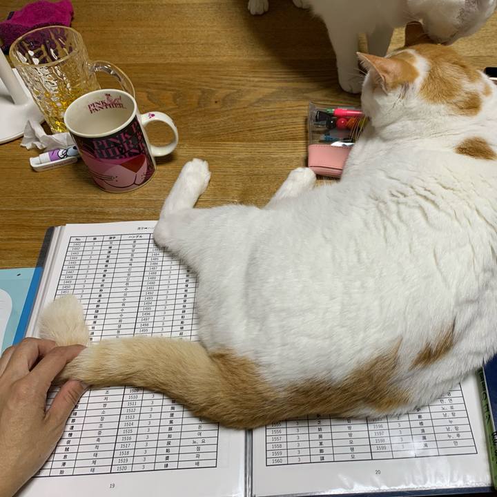 265a10d9 4b1f 45a9 8598 2b69131639bb 1628719815768