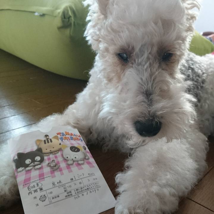 265a87da 5bbf 46ac 8556 0c8a64a34575 1522310685898