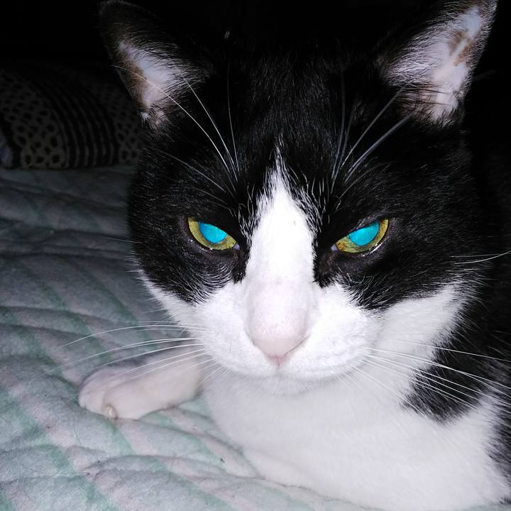 265a9bab c31b 44a4 b944 052f030a1c7a 1538268772474