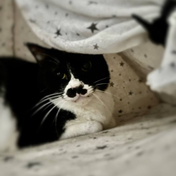 265aa323 d77e 4e41 80b4 f42e9d78a29b 1683341979435