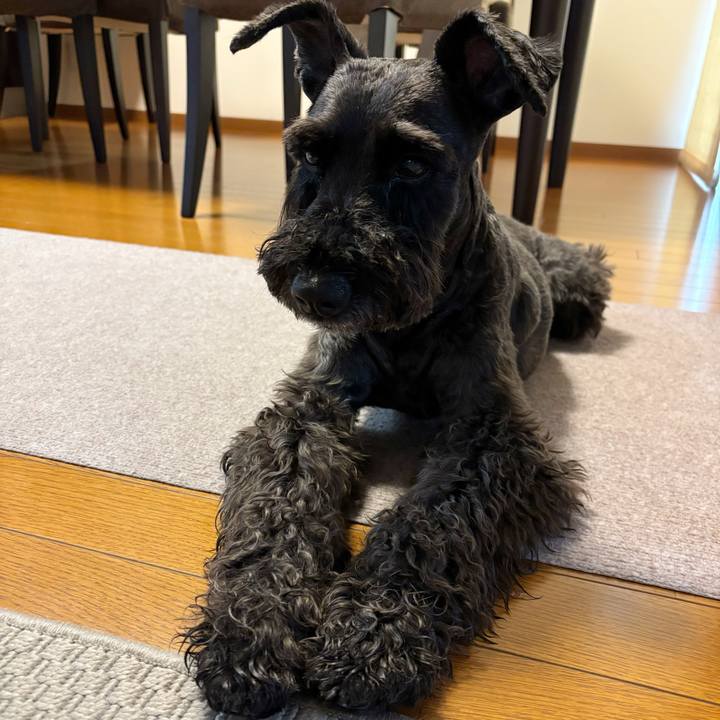 265aa8a4 c78f 4b8a 9bd6 f4c941012c39 1750024529755