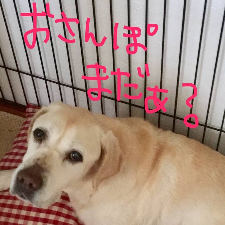 265af1e4 8260 47e1 a162 c2fa58f3021b 1589875193965