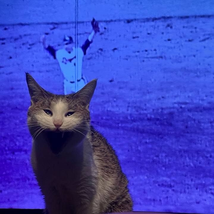 265af835 3945 4c38 bbf6 5f17ad01c18a 1638784724634