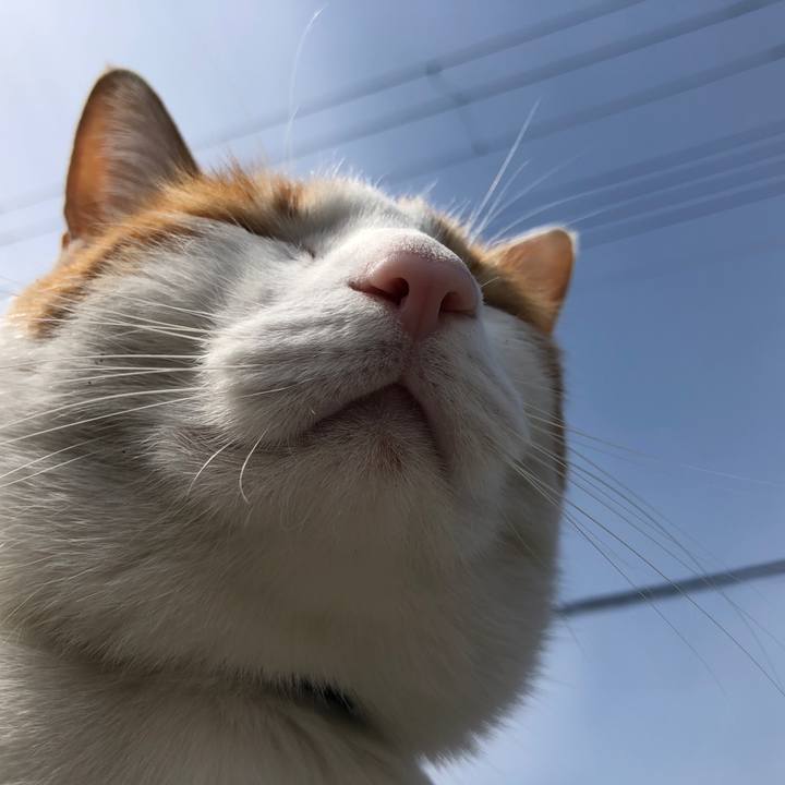 265b0820 1bee 4cec 9eb3 df89944765b1 1555810392610