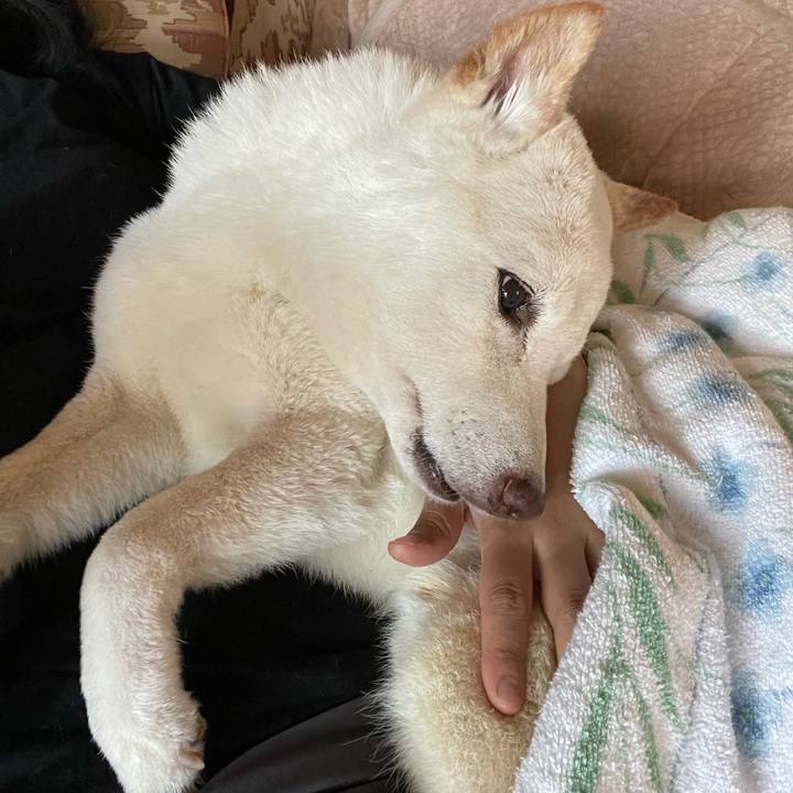 265b2096 3cd8 4298 b1b6 4c3f7771142f 1656505514898