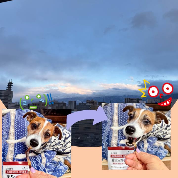 265b3934 ab58 480e b703 acb860f0e48d 1767861429793