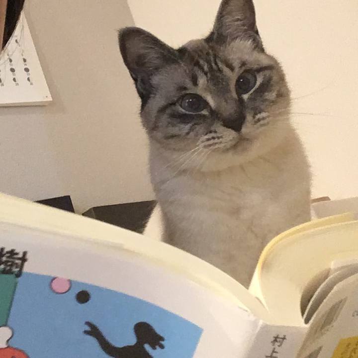 265b5288 3c82 4d82 8a54 9c36db4aa0f9 1590052764247