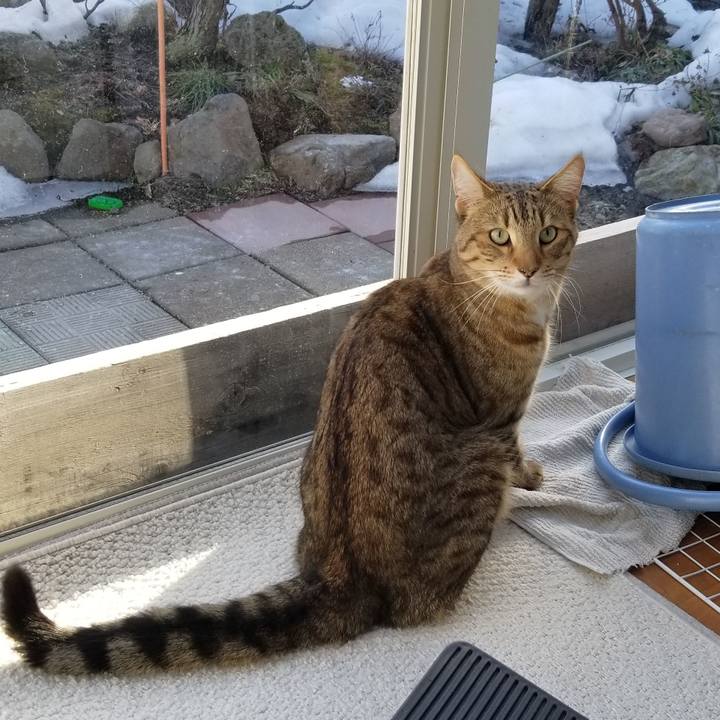 265ba185 c5a4 4597 99d5 a7e37163546c 1679234669525