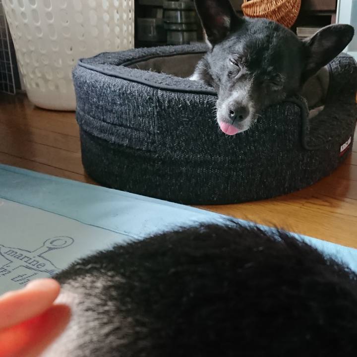 265ba4d4 ccd7 4e7c a85e 53fd39032541 1562497035122