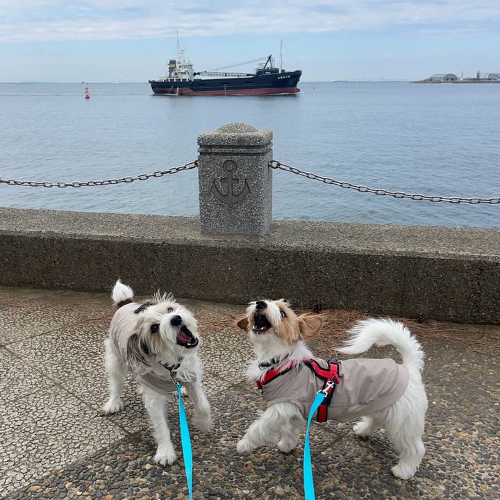 265bbb0c de90 430c 9bfd 463086c37fc4 1773663812748