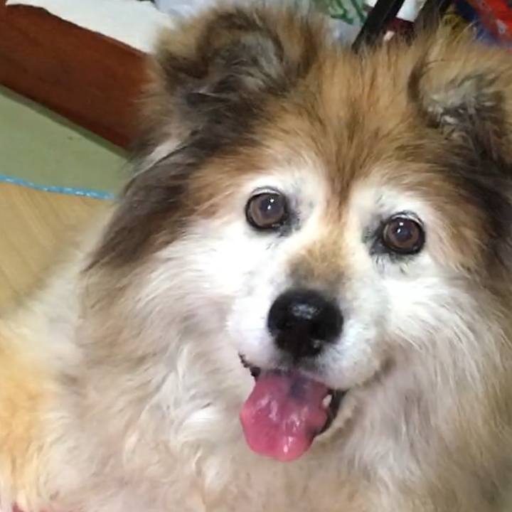 265be3ab 03e3 489f b728 10f495120f0e 1551659618806