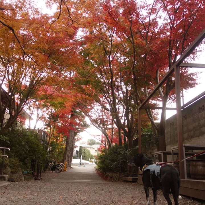 265bf82c 1f30 4a9d 94ce 421e86a66cf8 1733875511447