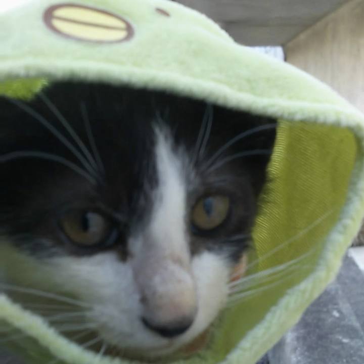 265c559b c411 4790 84a0 8fc307eeec63 1530072155472