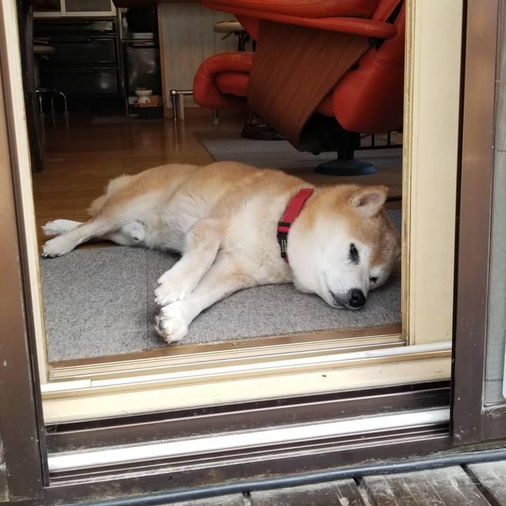 265c5bb1 3b20 4096 981c b2bd9f572464 1748394387342