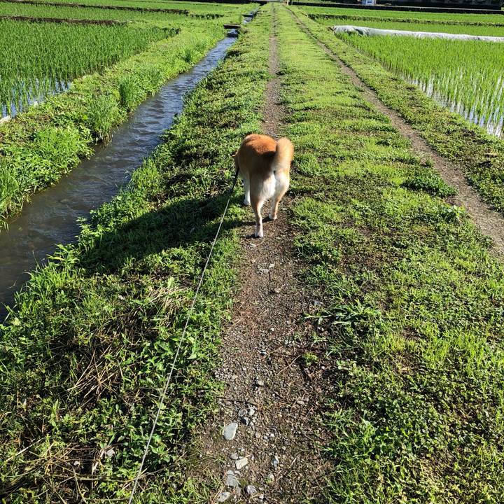 265c74a8 baa8 429a b2fd c5510e54d964 1560251717337