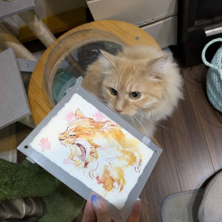 265c7e58 0958 4307 b6d7 f8b7349f76d4 1748684083336