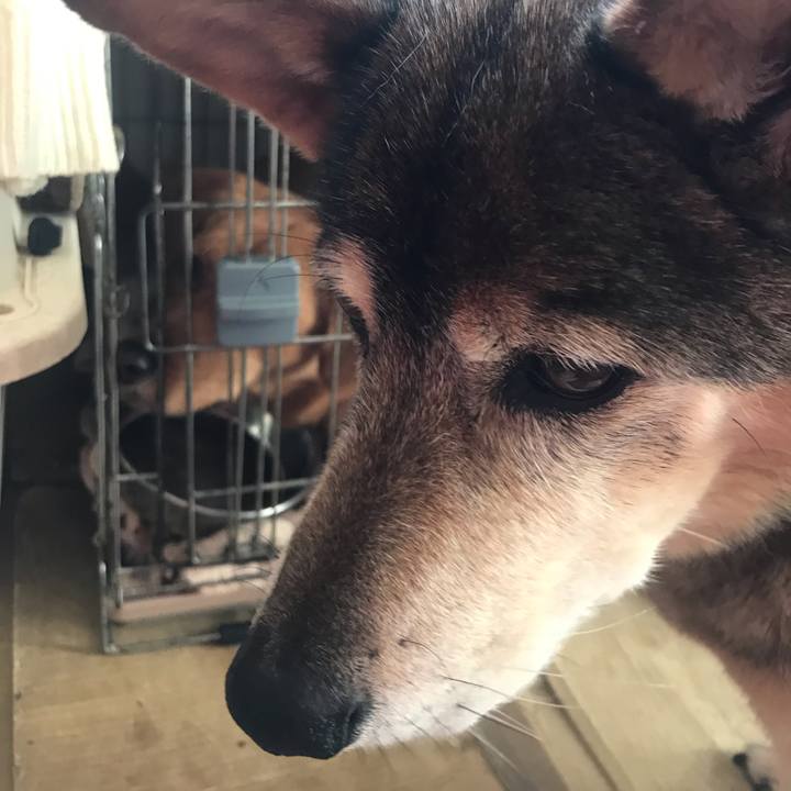 265c901e be79 4ca2 968a 6309263d687c 1557537312644