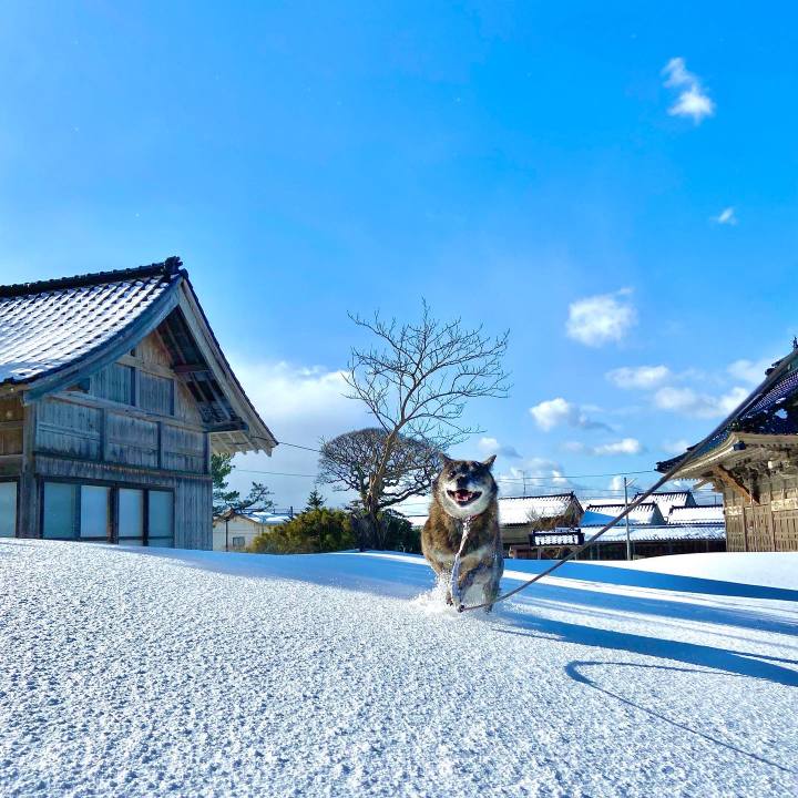 265c9bc6 b301 4ff4 b1d0 7c8dbb2a2b16 1642747569138