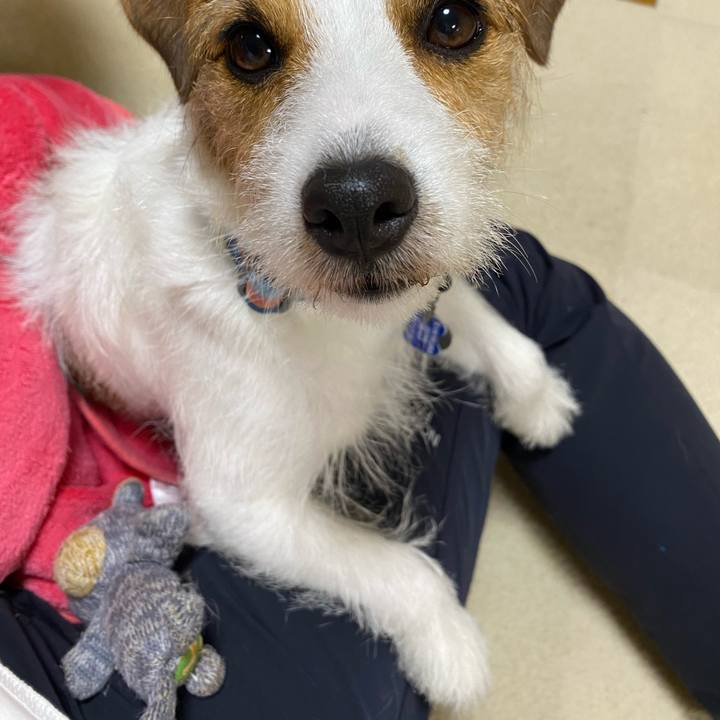 265cb327 7aee 4181 96c7 3653cf71303d 1718029795344