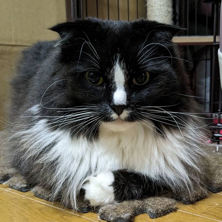 265d05e4 564b 4042 ba99 7f9b3739dc93 1680004141345