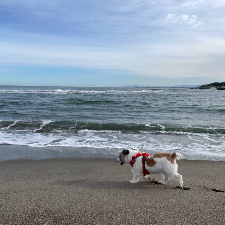 265d0b9c c15e 47d1 9cac 1cac1d85be84 1665274404012