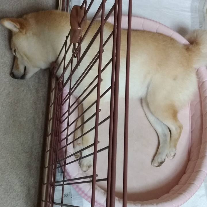 265d3059 afd3 4d14 b347 df0077c460be 1595513753304