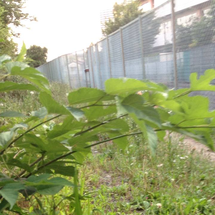 265d328a 8533 47c5 8edd f3d4a9261fc4 1527932841004