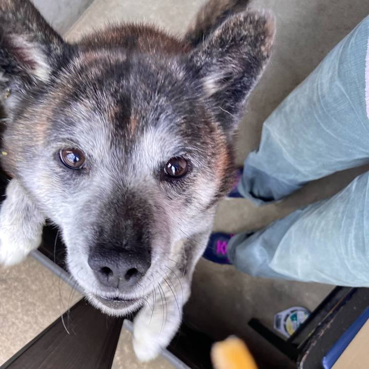 265d4320 8a7f 4532 92ba 71008075dcd4 1730252845913