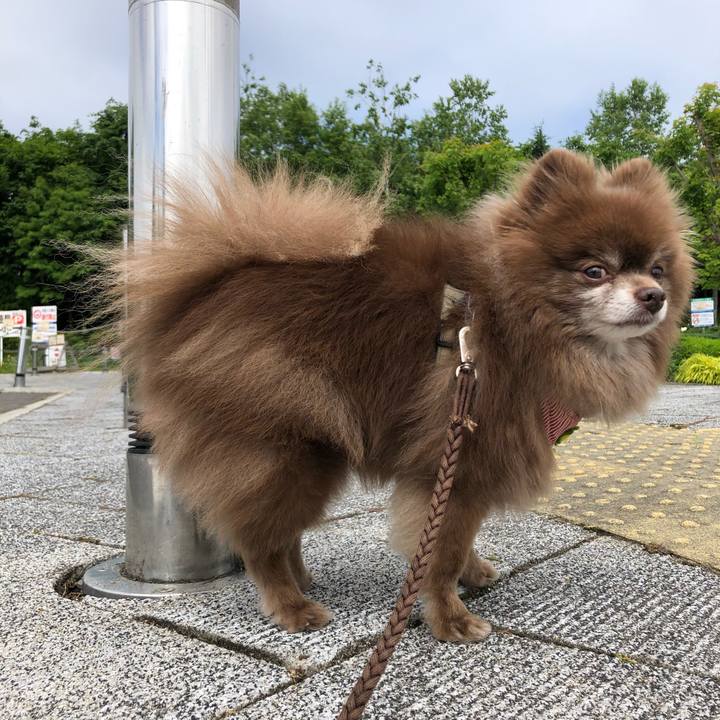 265db448 0f63 47ba a439 b37d014e3828 1623820459951