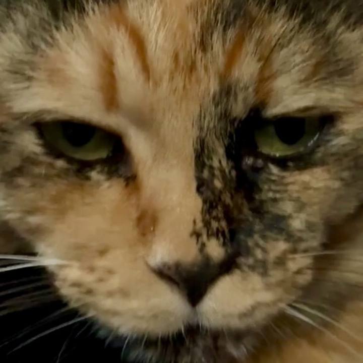 265dda32 9321 4022 b3f4 fa4e753b0937 1761360799395