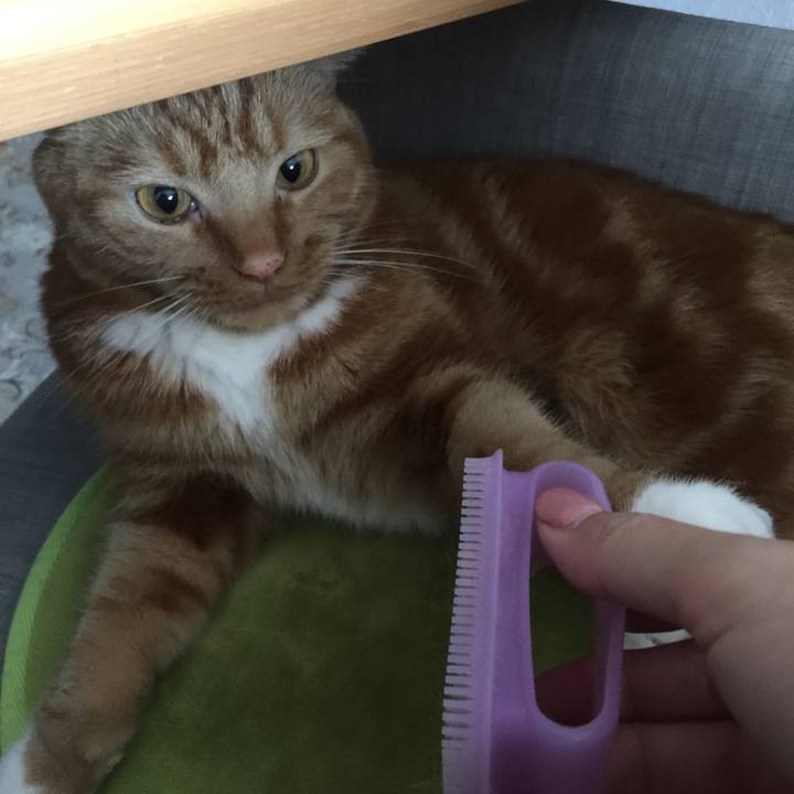 265e9212 f95a 4621 bd34 ee481d9b0a4c 1560052602214