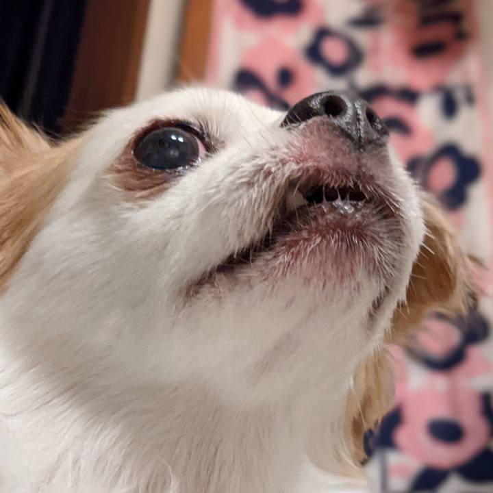 265ea599 74ba 4450 9e43 01a8c3c0631c 1626179900587