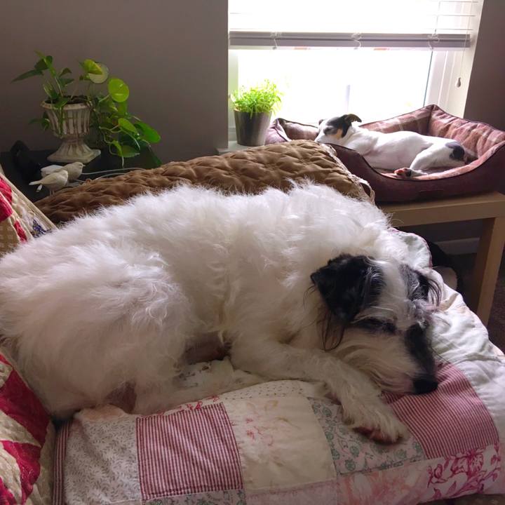 265ebf6f 7e3d 4425 99ab de4d6e6a5142 1553551199433