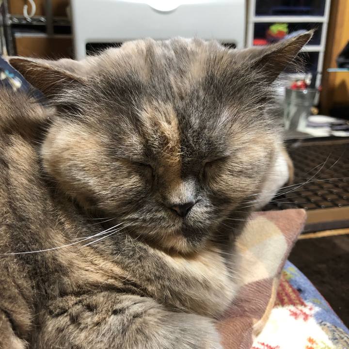 265edbaf 9a19 4870 b32d 2ed2d8b55e69 1673093863211