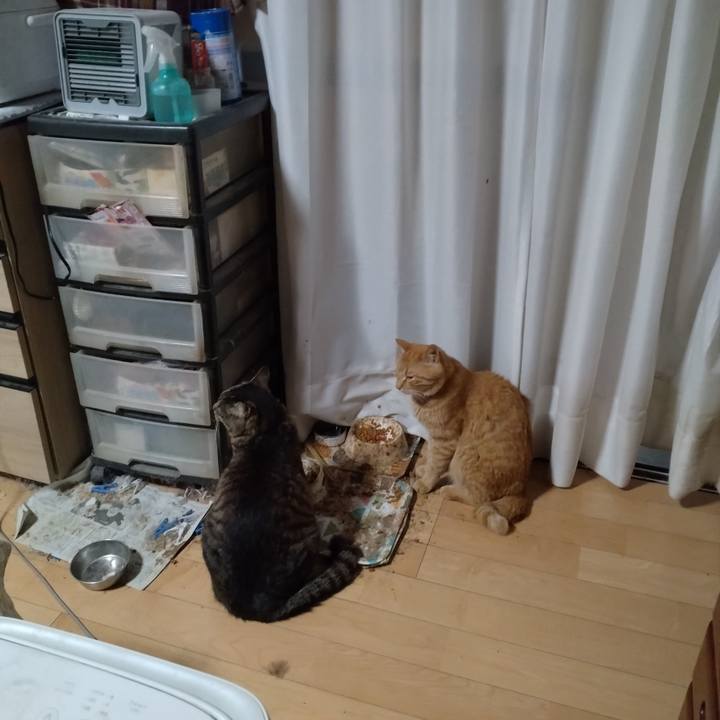 265f0f35 2892 4a36 88cf 612440224f15 1718576149935