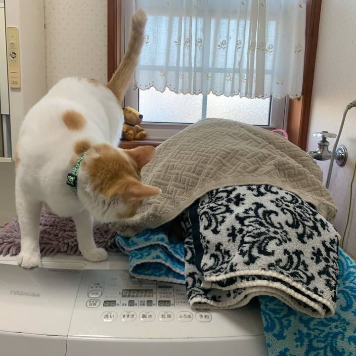 265f67c9 00df 4dc6 a43c 8cc89600eaff 1586140477916