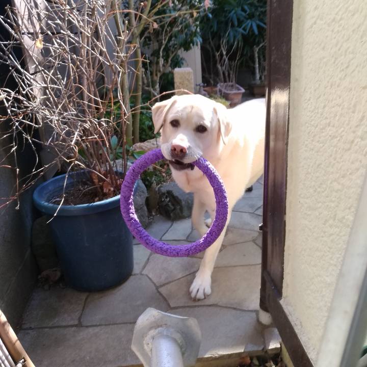 265fd0b3 f298 4d08 bc1d 45af7ffa5272 1612461347873