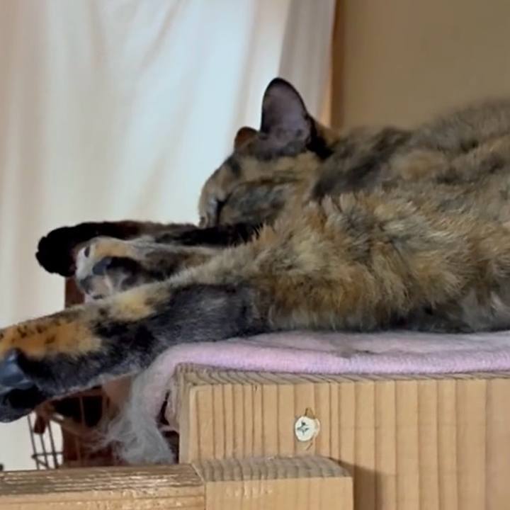 26600d58 9d74 44b1 aaad 1f19e9639e34 1751890071749