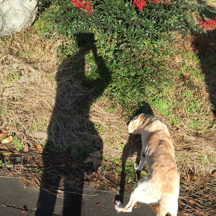 26602de7 4e38 43c4 b9e7 4b6e3c17009a 1556592908790