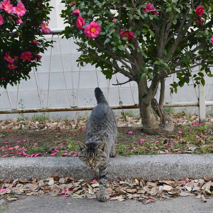 26603f8e 0baf 4a8e a150 f25b5712b9fe 1544951336284