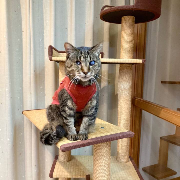 266059b4 638e 4a36 b9dc d47ba3067f05 1680904862082