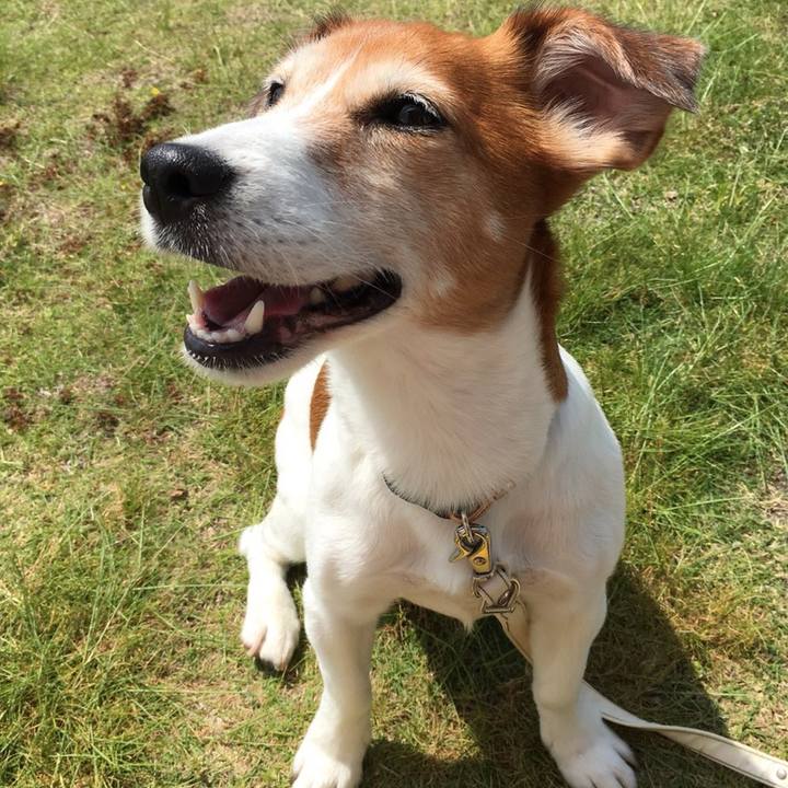 26607ebe 913f 4ec8 9f2d 68722c5775ae 1528810391801