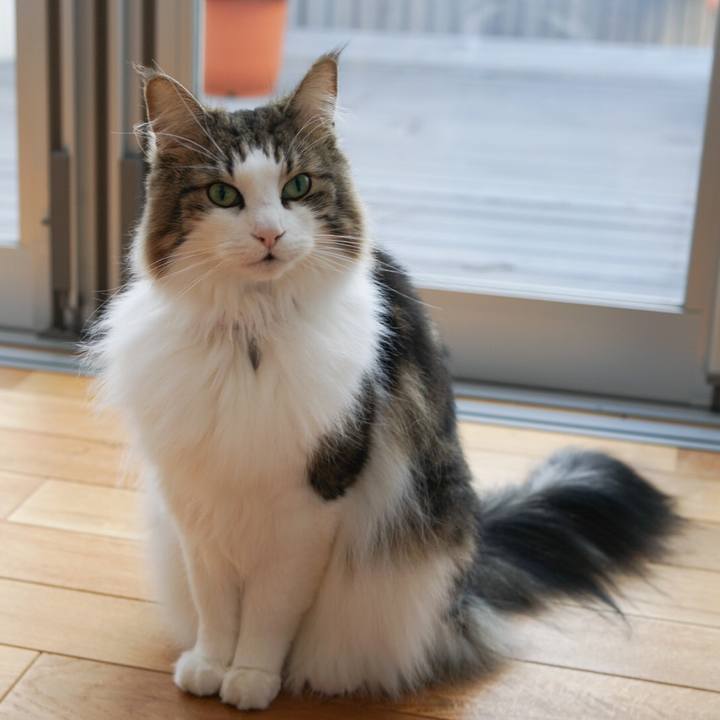 26609c10 6a95 49e0 bc88 3cb8b62cfaec 1578974079364