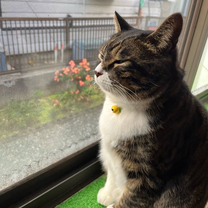 26609e3d 5e15 4e37 bb20 3bfc788f19a3 1763857559025