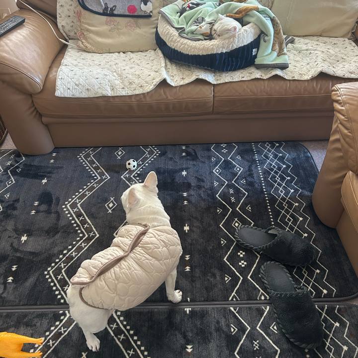 2660a649 98dd 4878 802f 93cb6d7255a7 1771045876095