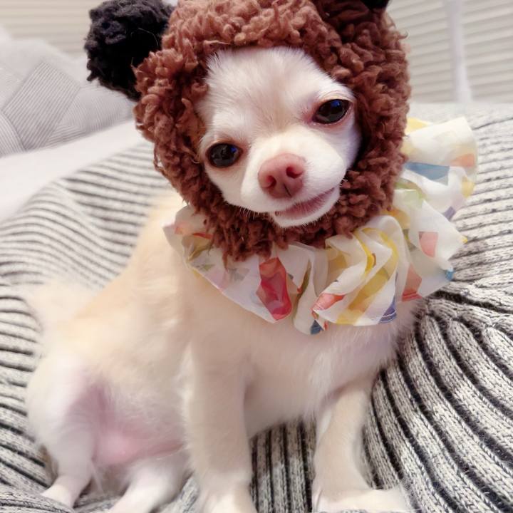 2660ba89 2544 44b0 b918 f3182f435c9f 1692708022367