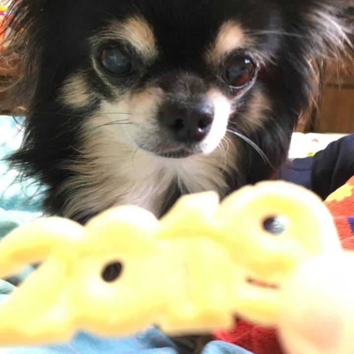 2660f72c 8f6f 4ca6 8f43 14b366bec74e 1547627330941