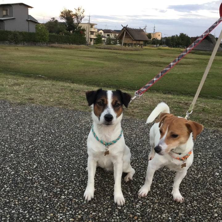 266105b8 800e 47a7 a569 dd05b6fa8c25 1509609460042